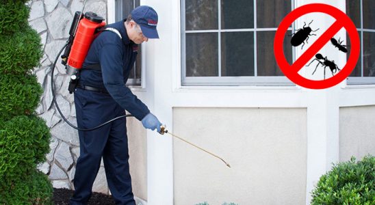 Kaman Hamam Böceği İlaçlama böcek ilaçlama ve haşere kontrolü — ilaclama-tr.com